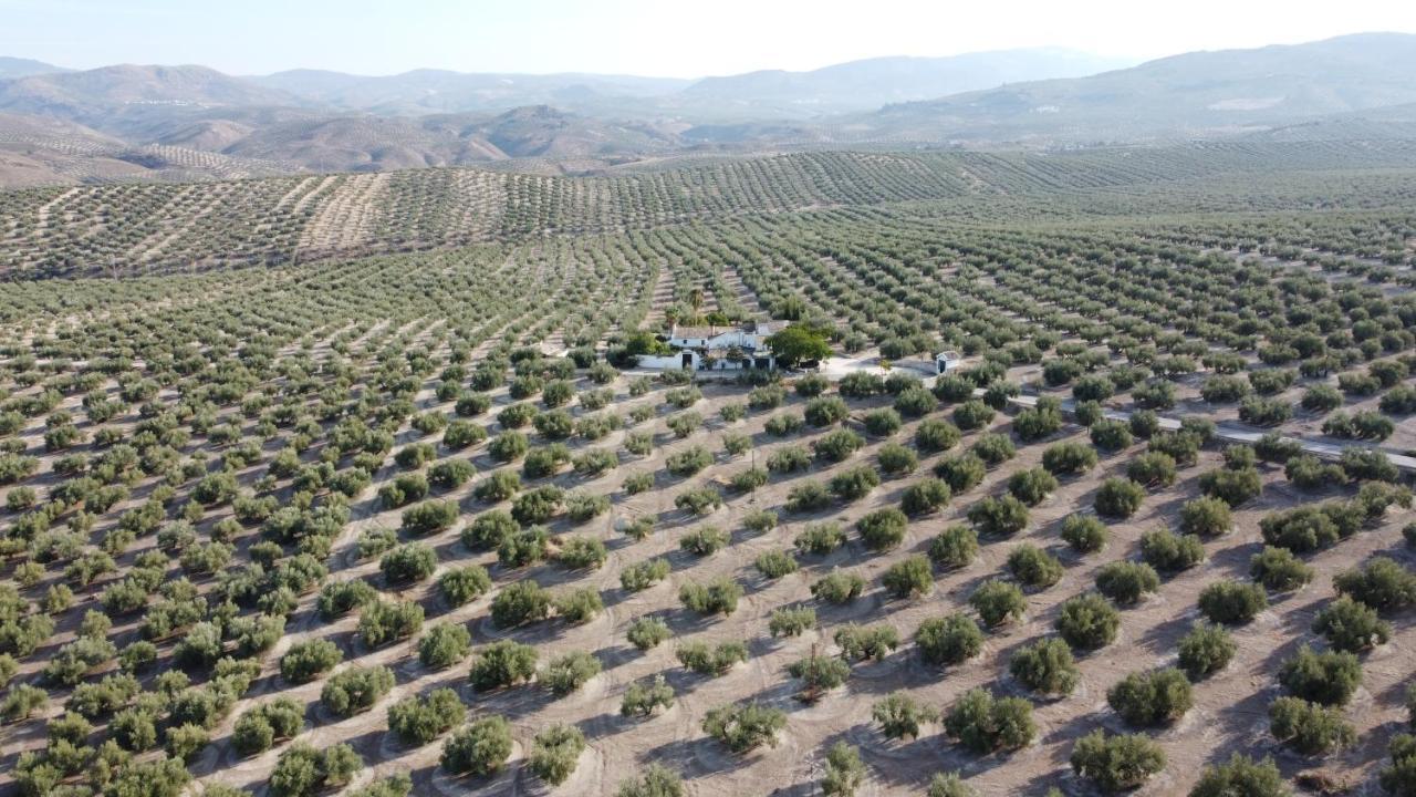 Casa De Familia Cortijo La Cubertilla Fuente-Tojar Exterior photo